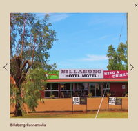 Billabong Hotel - Maitland Accommodation