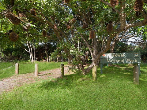 Birdsong Beach House - Maitland Accommodation 2