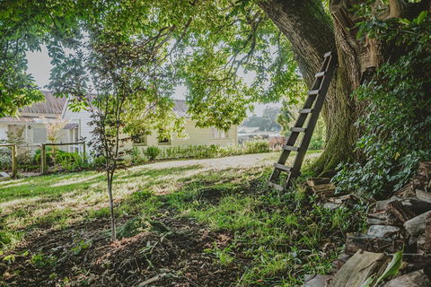 Blacksmiths Cottage - Maitland Accommodation 1
