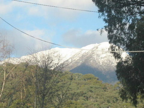 Blue Range Cottage - Maitland Accommodation 1