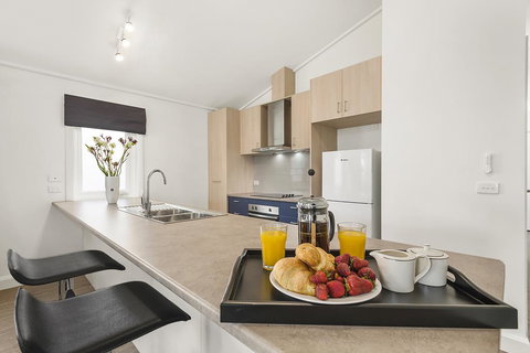 Blue Rosella On Piper - Maitland Accommodation 3