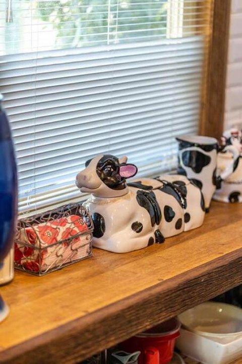 The Spotted Cow,city Fringe,pet Friendly-Free Wine - Maitland Accommodation 2