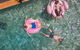 YHA Cape Byron, Byron Bay - thumb 0