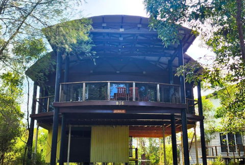 EUROLIE ON HIGH At Kingfisher Bay Fraser Island - Maitland Accommodation 0
