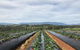 Yarra Valley Tiny Farm - thumb 2