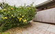 Yarraville Garden Large Home With Yard And Parking - thumb 3