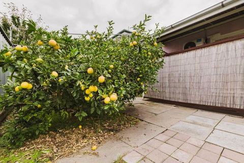 Yarraville Garden Large Home With Yard And Parking - Maitland Accommodation 3