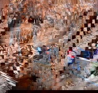 Private Tour Jenolan Caves  Blue Mountains in a day - Maitland Accommodation