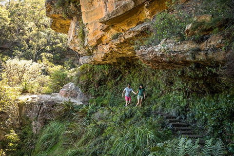Private Guided: Blue Mountains Hiking & Nature Tour - Maitland Accommodation 2