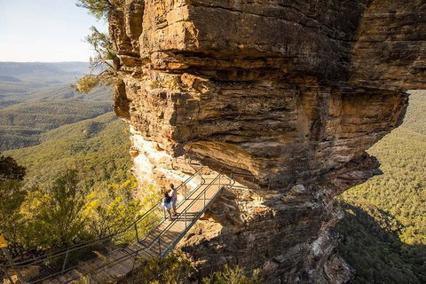 Private Guided: Blue Mountains Hiking & Nature Tour - Maitland Accommodation 4
