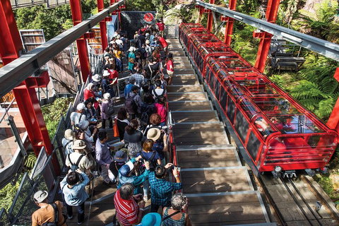 Private Guided Tour: Blue Mountains Tour From Sydney - Maitland Accommodation 1