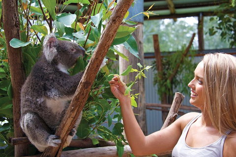 Private Guided Tour: Blue Mountains Tour From Sydney - Maitland Accommodation 5