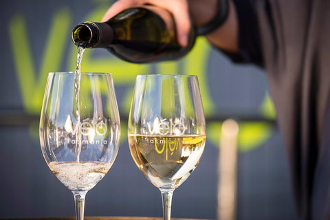 Half Day Tamar Valley Wine Tour - Maitland Accommodation 0