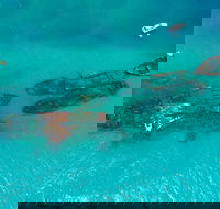 Private Tangalooma Wrecks Tour - Maitland Accommodation