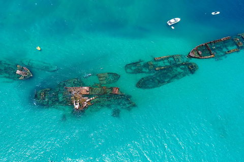 Private Tangalooma Wrecks Tour - Maitland Accommodation 0