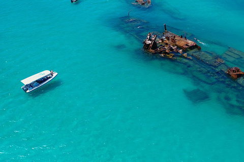 Private Tangalooma Wrecks Tour - Maitland Accommodation 4