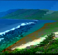 Cairns Reef and Rainforest Combo Daintree Rainforest and the Great Barrier Reef - Maitland Accommodation