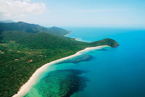 Cape Tribulation, Mossman Gorge, And Daintree Rainforest Premium Day Tour - Maitland Accommodation 2
