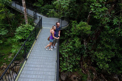 Cape Tribulation, Mossman Gorge, And Daintree Rainforest Premium Day Tour - Maitland Accommodation 3