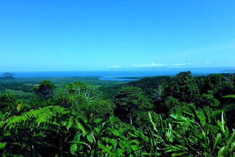 Cape Tribulation, Mossman Gorge, And Daintree Rainforest Premium Day Tour - Maitland Accommodation 5