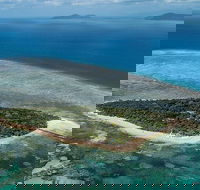 4-Day Cairns with Great Barrier Reef and Daintree Rainforest - Maitland Accommodation