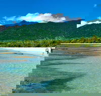 Private Daintree National Park Day Tour from Cairns Including Cape Tribulation and Mossman Gorge - Maitland Accommodation