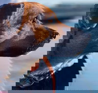 1.5-Hour Boat Rental in Melbourne - Maitland Accommodation