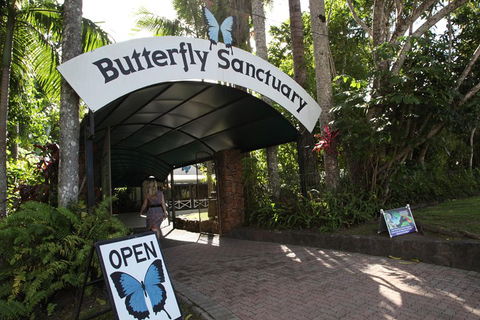 Kuranda Day Trip From Port Douglas Upgrade To Skyrail & Scenic Train Available - Maitland Accommodation 0