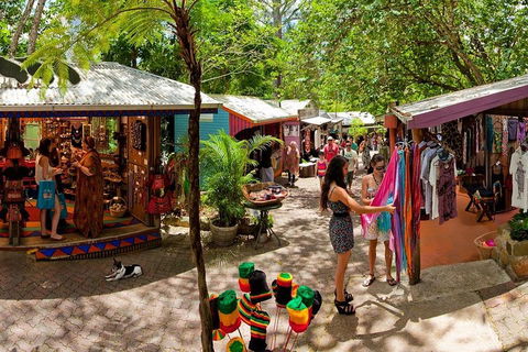 Kuranda Day Trip From Port Douglas Upgrade To Skyrail & Scenic Train Available - Maitland Accommodation 2