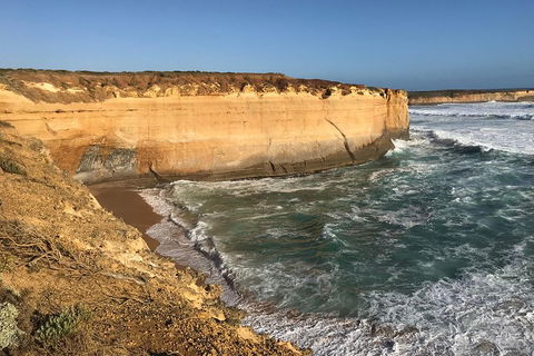 12 Apostles Tour From Warrnambool - Maitland Accommodation 1