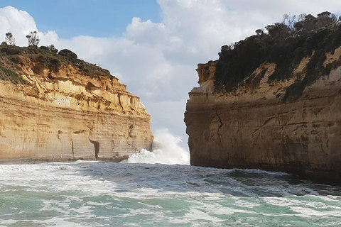12 Apostles Tour From Warrnambool - Maitland Accommodation 2
