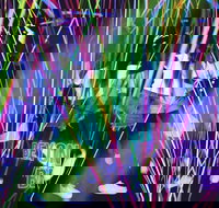 Infinity Attraction - Admission - Maitland Accommodation