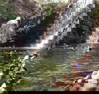 Litchfield National Park and Jumping Crocodile Cruise - Maitland Accommodation