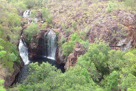 Litchfield National Park And Jumping Crocodile Cruise - Maitland Accommodation 4
