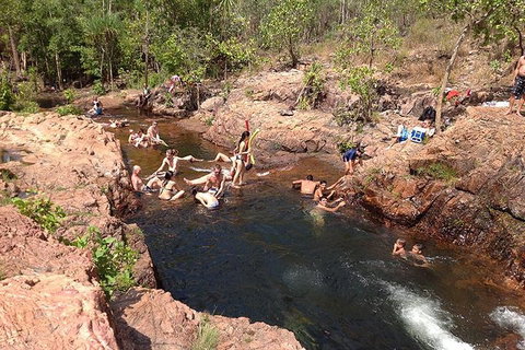 Litchfield National Park And Jumping Crocodile Cruise - Maitland Accommodation 5