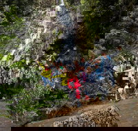 5-Day Lap of Tasmania Tour from Hobart flexible ticket - Maitland Accommodation