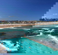Private Sydney City and Bondi Beach Half Day Tour - Maitland Accommodation
