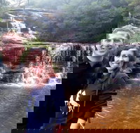 Private Blue Mountains Day Tour including Wildlife Park - Maitland Accommodation