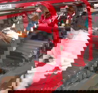 Full-Day Private Blue Mountains Tour with River Cruise - Maitland Accommodation