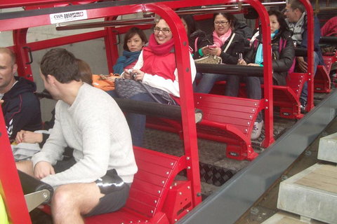 Full-Day Private Blue Mountains Tour With River Cruise - Maitland Accommodation 0