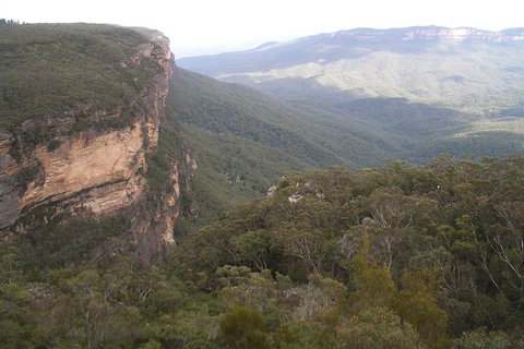 Full-Day Private Blue Mountains Tour With River Cruise - Maitland Accommodation 3