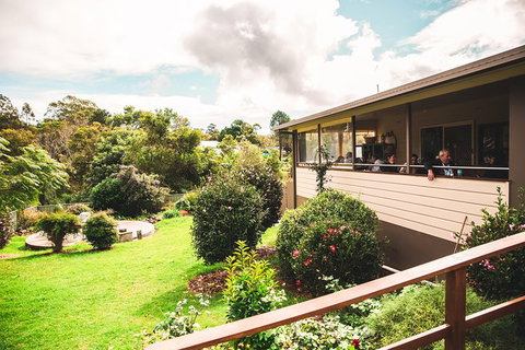 Full-day Springbrook National Park Tour From The Gold Coast - Maitland Accommodation 2