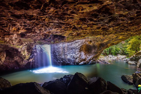 Full-day Springbrook National Park Tour From The Gold Coast - Maitland Accommodation 3