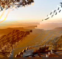 O'Reilly's  Lamington National Park incl. Alpaca Farm  Vineyard - Maitland Accommodation