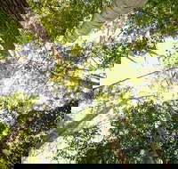 Fraser Island 4WD Tour from Noosa - Maitland Accommodation