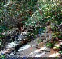 Fraser Island 4WD Tour from Rainbow Beach - Maitland Accommodation