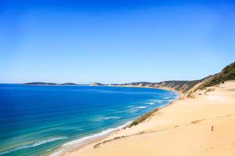 Kayak With Dolphins And 4WD Great Beach Drive Day Trip From Noosa - Maitland Accommodation 0