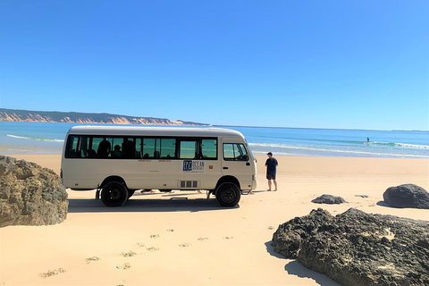 Kayak With Dolphins And 4WD Great Beach Drive Day Trip From Noosa - Maitland Accommodation 4