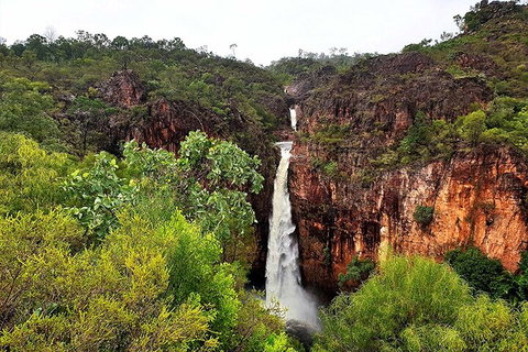 Ethical Adventures - Best In The WET - Litchfield / Kakadu 3 Day- Max 10 Guests - Maitland Accommodation 2