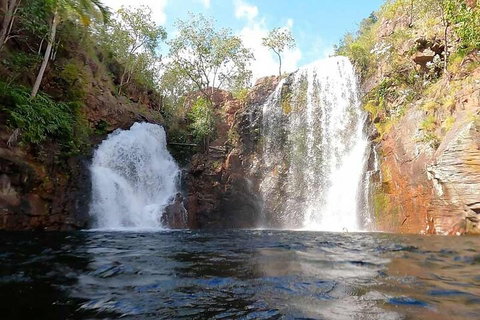 Ethical Adventures - Best In The WET - Litchfield / Kakadu 3 Day- Max 10 Guests - Maitland Accommodation 5